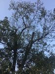 自然景观