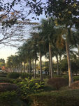 自然景观