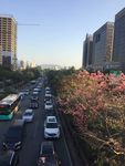 自然景观