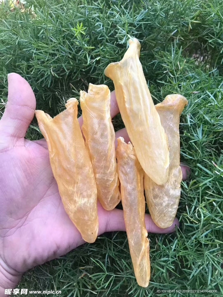 美食