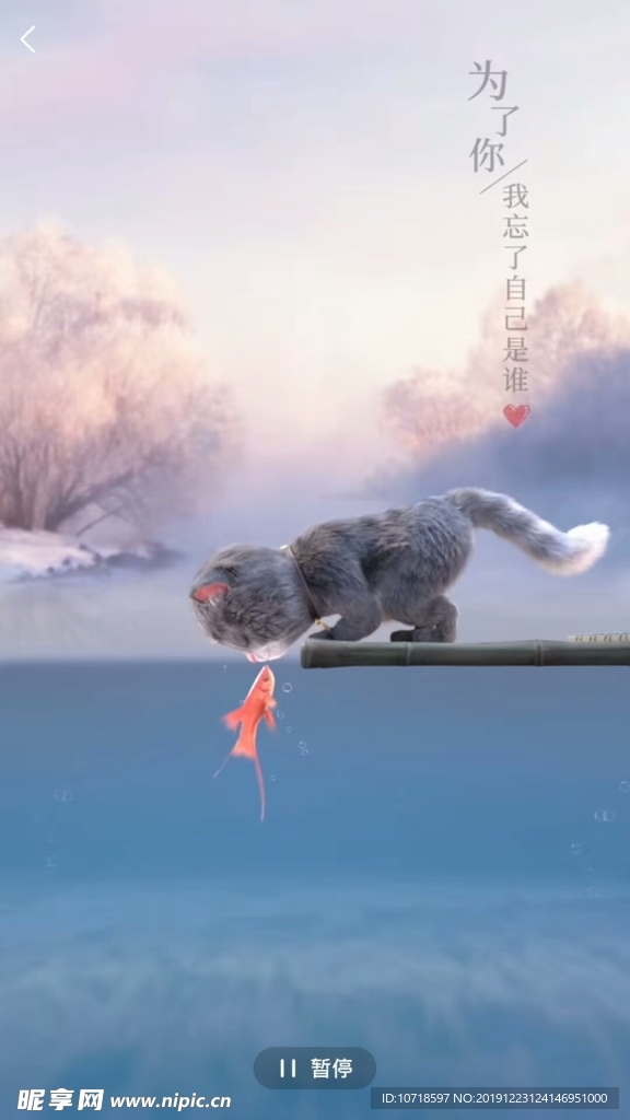 小猫