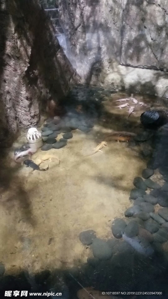 自然景观