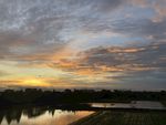 夕阳