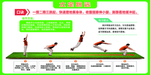 立定跳远