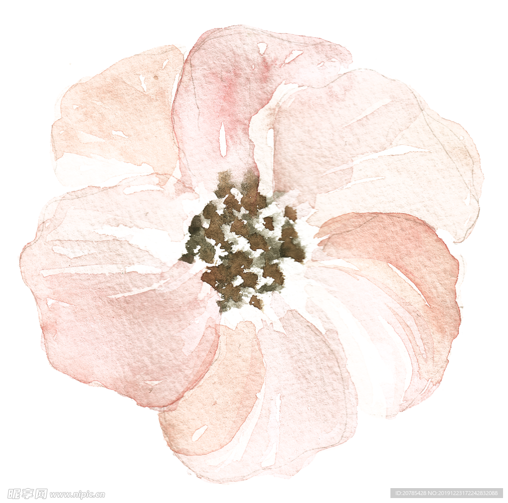 手绘花