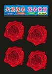 花朵玫瑰花制作