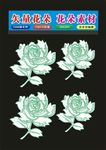 花朵玫瑰花