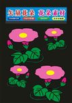花朵花卉制作