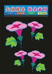 花朵花卉标本