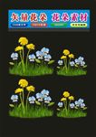 花朵花弄