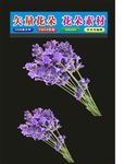 花植物标志