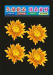 花植物花朵