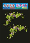 花卉矢量花