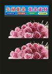 花卉玫瑰花