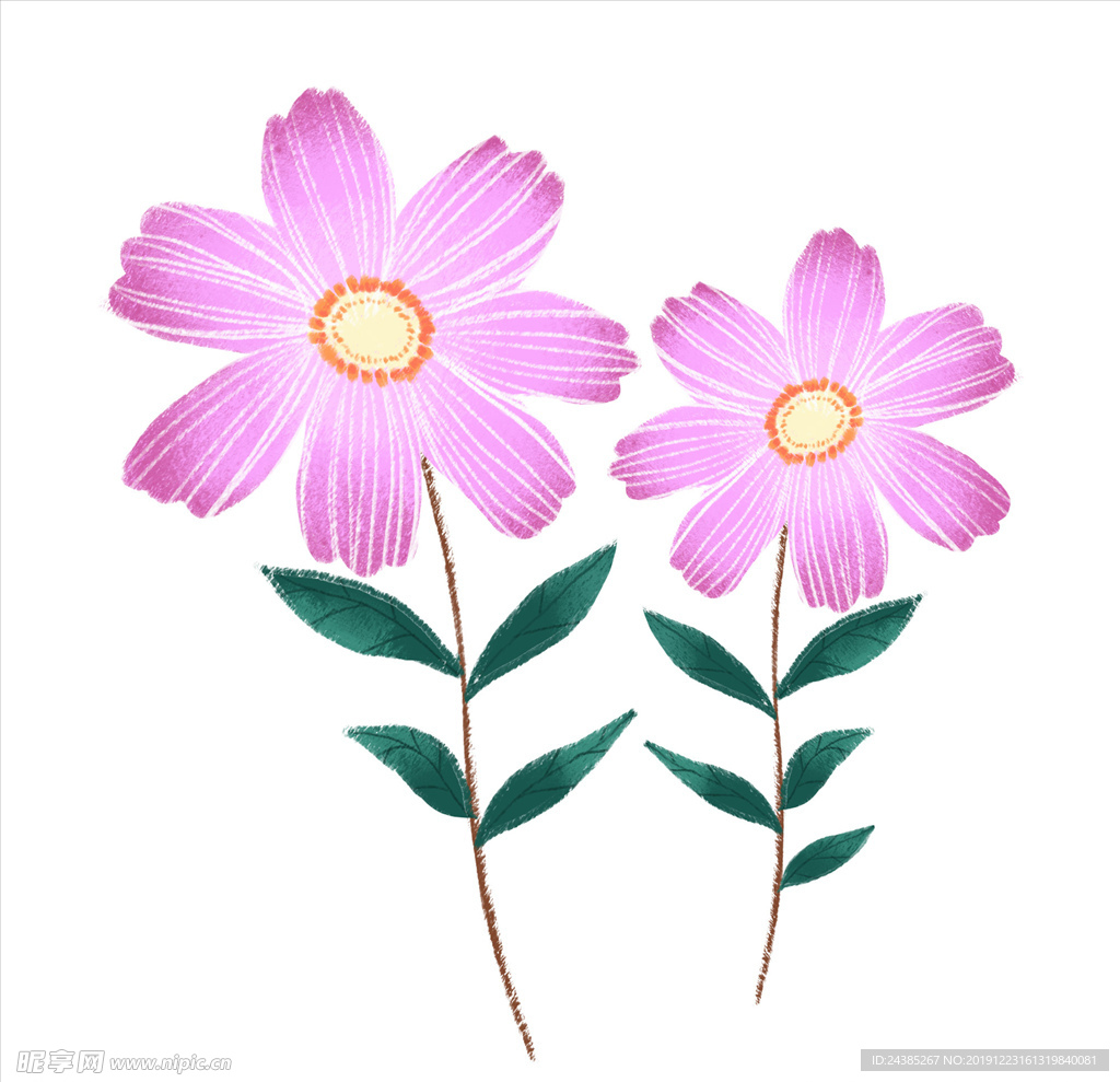 可爱小花