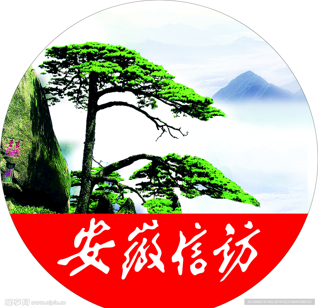 安徽 信访  万年松