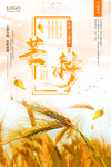 芒种海报