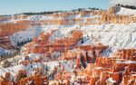 雪景