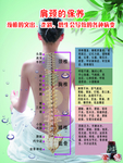 美容养生