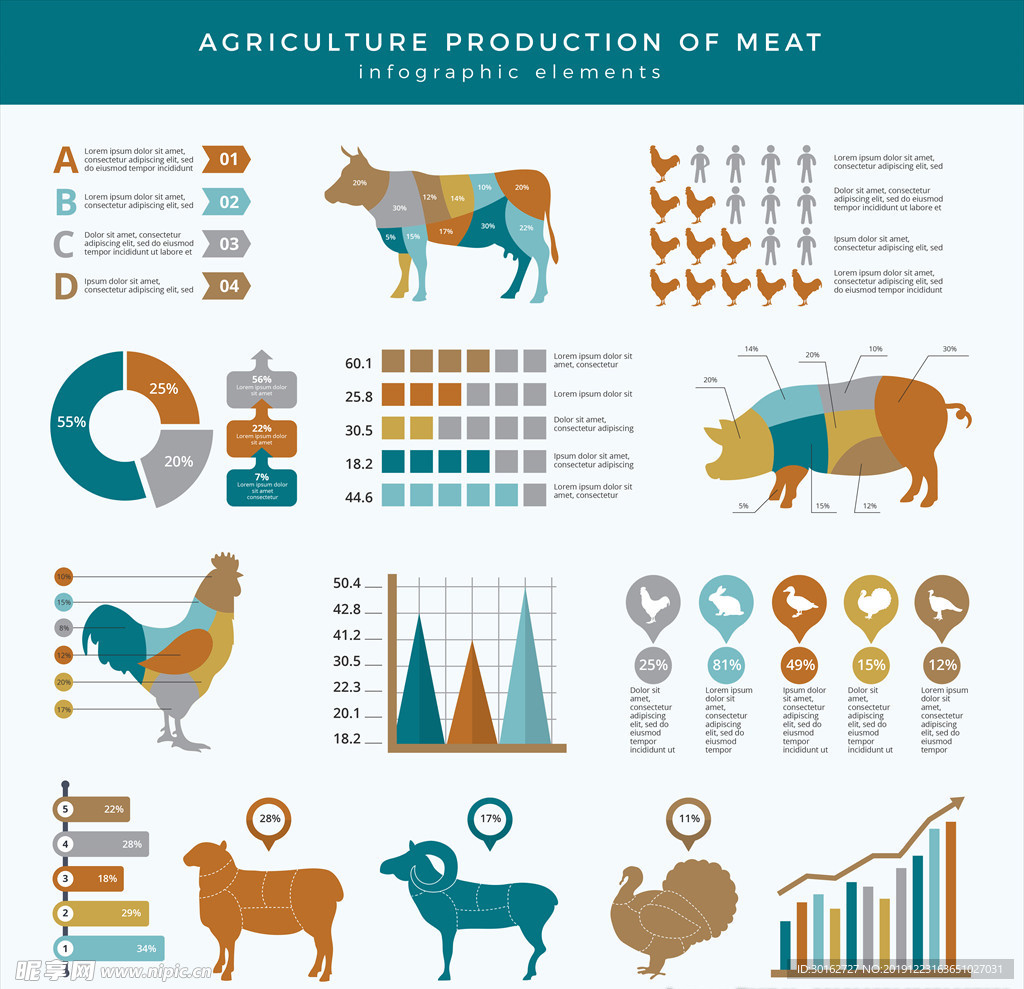 养殖动物肉类信息图表素材