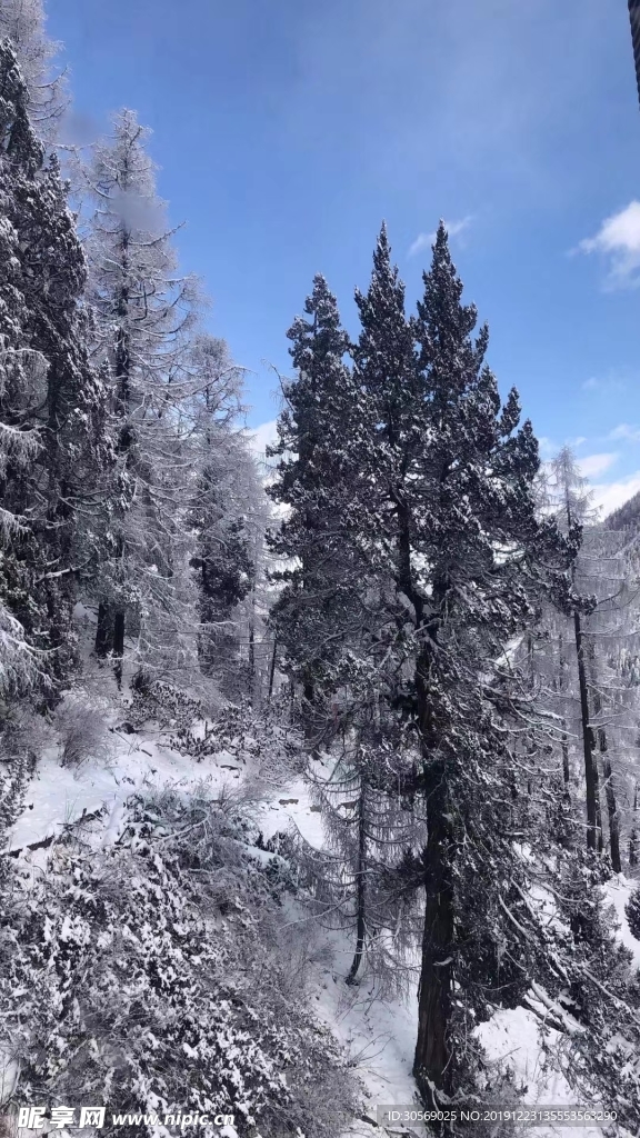 雪景