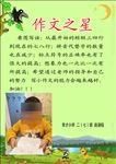 作文之星