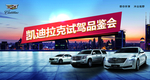 汽车品鉴会