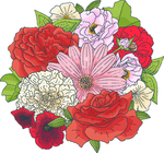 手绘鲜花
