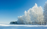 冬季大雪唯美雪花背景图片