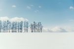 冬季大雪唯美雪花背景图片