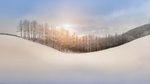 冬季大雪唯美雪花背景图片