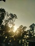 自然风景