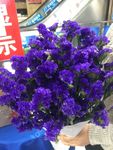 紫色鲜花