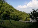 自然风景