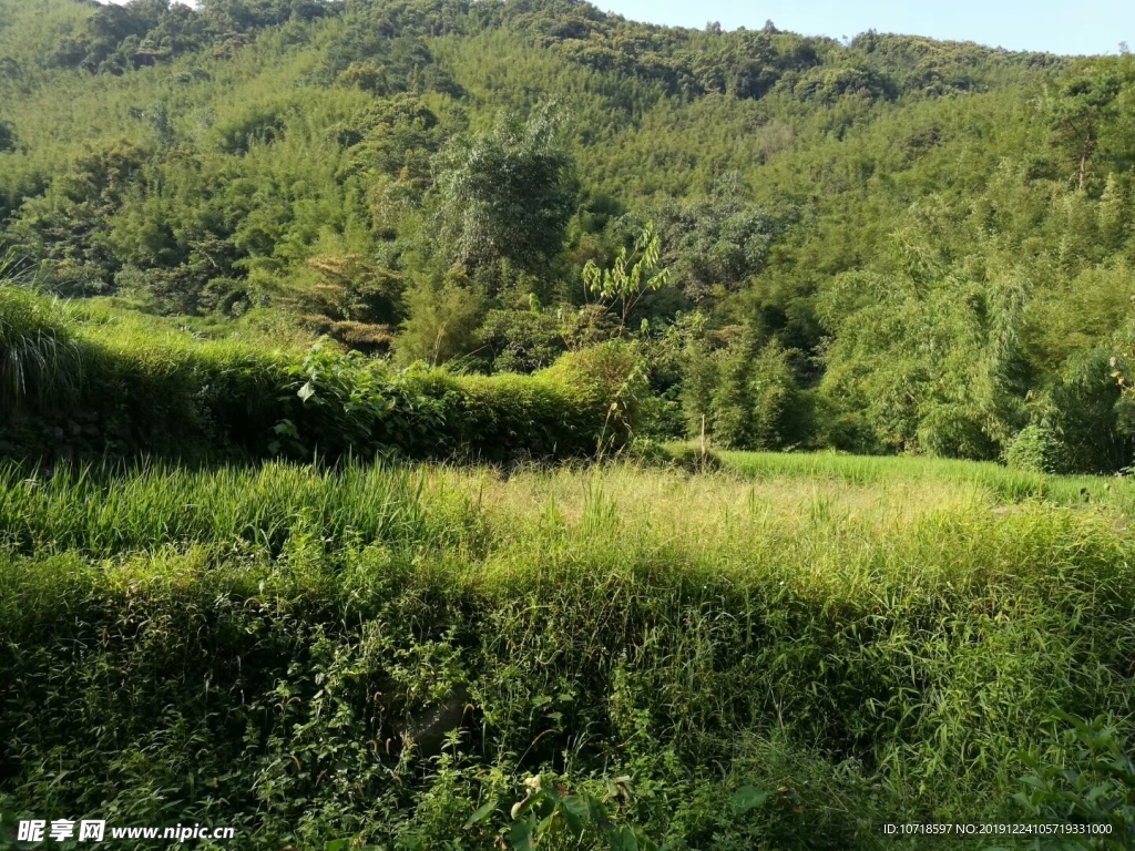 自然风景