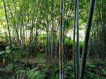自然风景