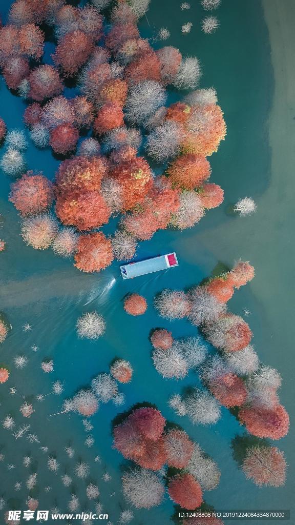 鸟瞰风景
