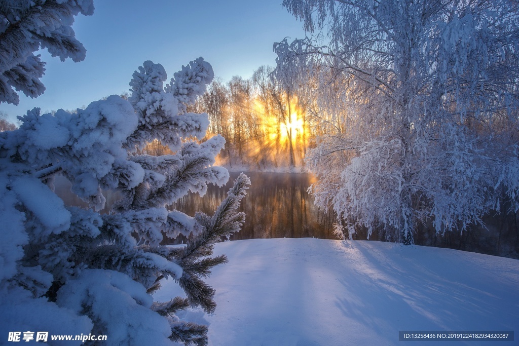 冬天大雪森林阳光风景