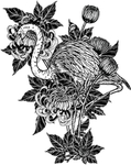 纯色绘画植物花朵