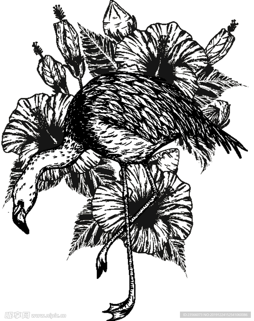 纯色绘画植物花朵
