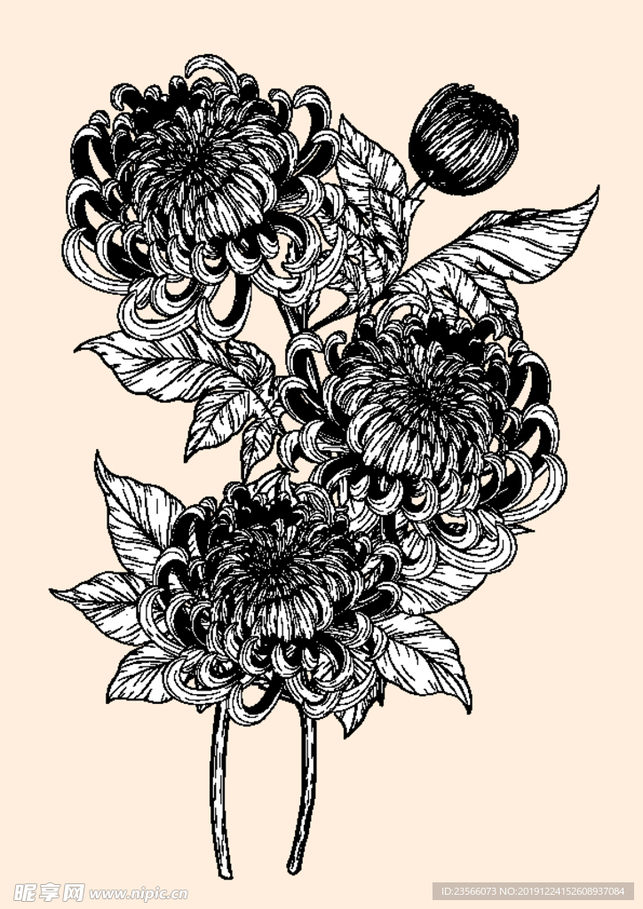 纯色绘画植物花朵