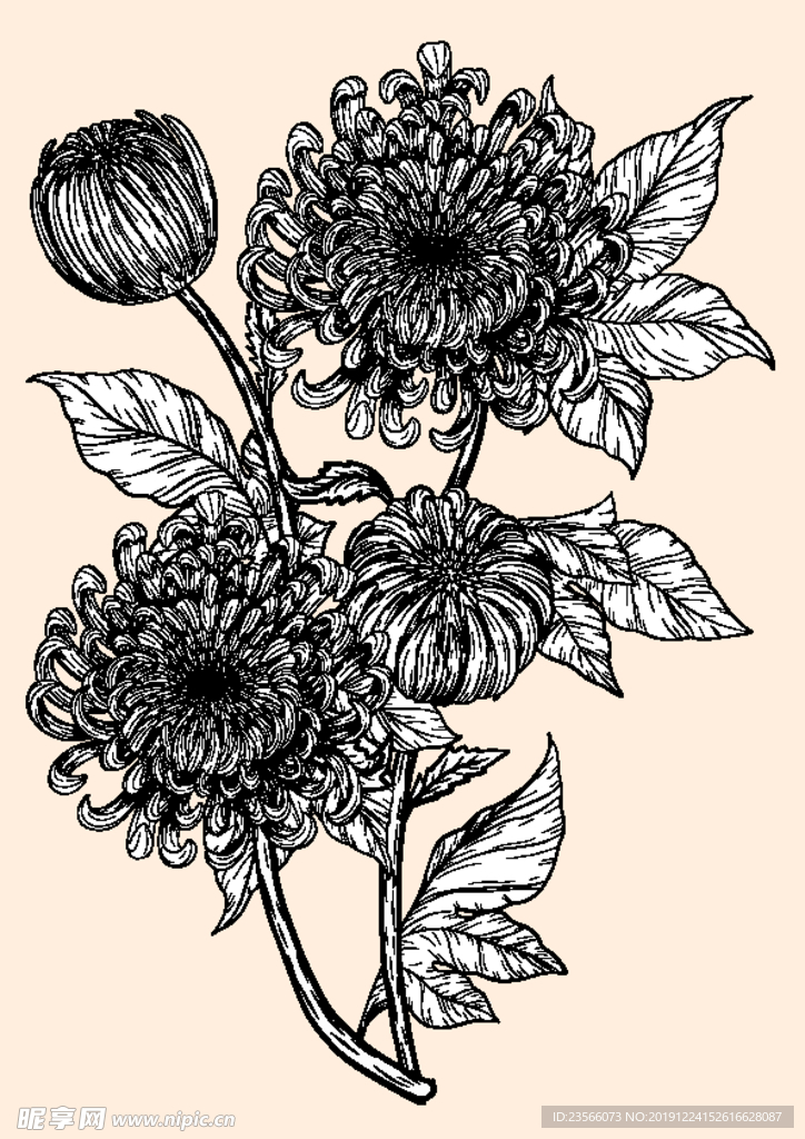 纯色绘画植物花朵