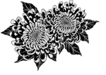 纯色绘画植物花朵