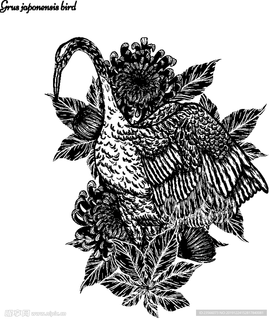 纯色绘画植物花朵