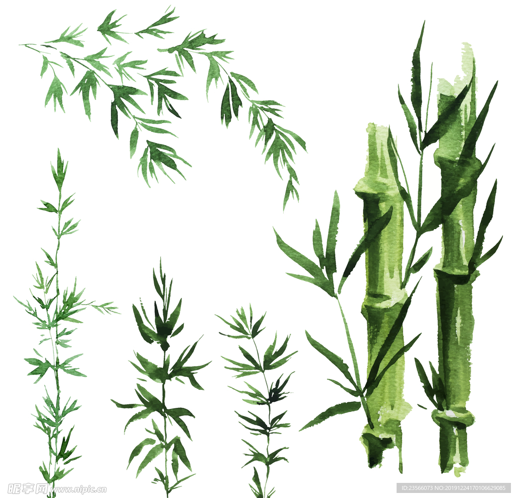 植物竹子装饰图案
