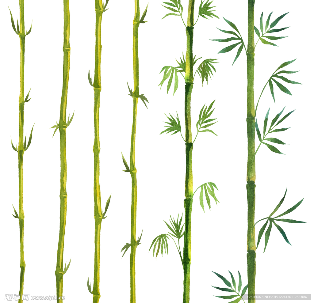 植物竹子装饰图案