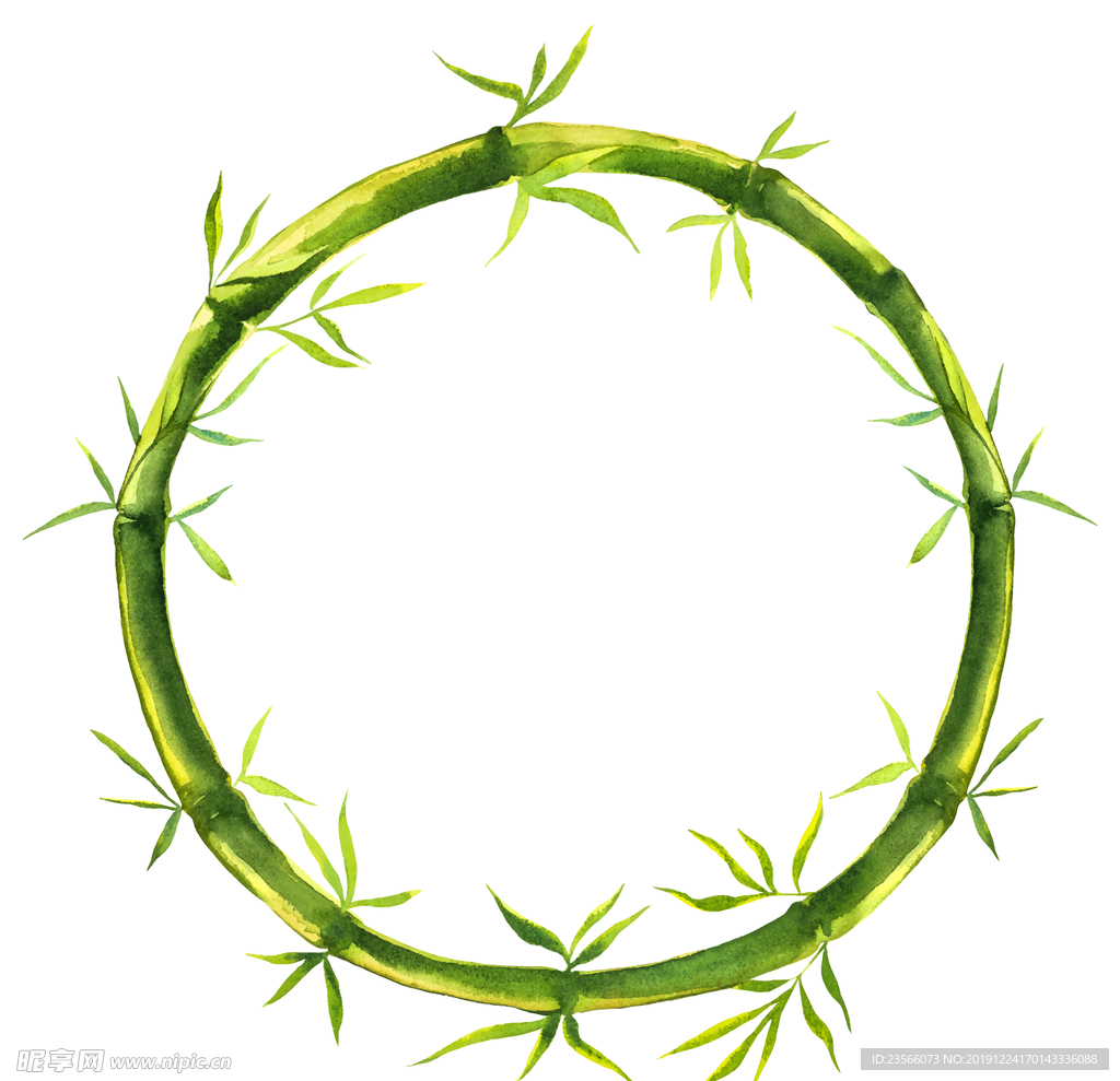 植物竹子装饰图案