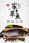 家乡草鱼海报设计
