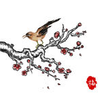 手绘花草 牡丹花园 元素素材
