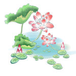 手绘花草 牡丹花园 元素素材